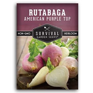 survival garden seeds – american purple rutabaga seed for planting – packet with instructions to plant and grow brassica napus in your home vegetable garden – non-gmo heirloom variety