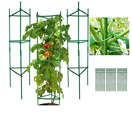 BEAUTYFLOWER Tomato Cages ,3 Packs Plants Support Stakes 4 Feet High Adjustable Assembled Vertical Climbing Plants, Garden Vegetable Trellis.