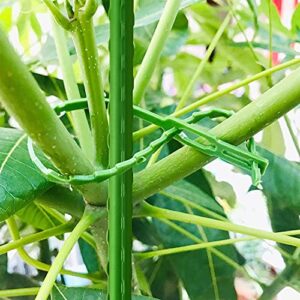 BEAUTYFLOWER Tomato Cages ,3 Packs Plants Support Stakes 4 Feet High Adjustable Assembled Vertical Climbing Plants, Garden Vegetable Trellis.