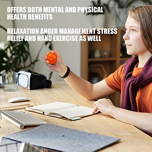 KDG Motivational Stress Balls(4 Pack) for Kids and Adults,Stress Relief Balls with Quetos to Relieve Anxiety and Manage Anger as Gift…