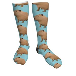 antfeagor capybara printable athletic tube stockings women men classics all-season cotton crew work socks sport