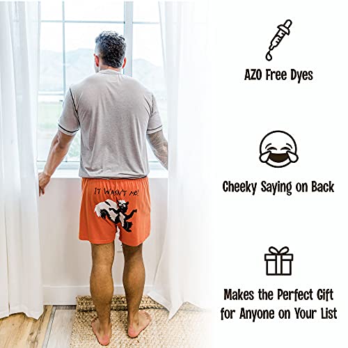 Lazy One Funny Animal Boxers, Novelty Boxer Shorts, Humorous Underwear, Gag Gifts for Men (Beware of The Force, Large)