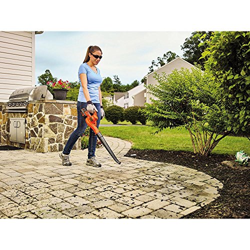 BLACK+DECKER 40V MAX Cordless Sweeper with Safety Eyewear, Lightweight, Clear Lens (LSW40C & BD250-1C)