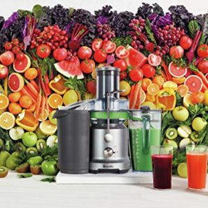 Breville Juice Fountain Cold Juicer, Silver, BJE430SIL