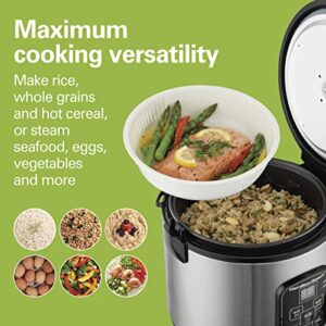 Hamilton Beach Digital Programmable Rice Cooker & Food Steamer, 8 Cups Cooked (4 Uncooked), With Steam & Rinse Basket, Stainless Steel (37518)