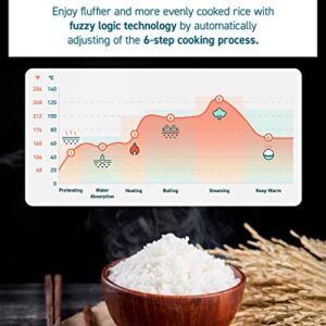 COSORI Rice Cooker 10 Cup Uncooked Rice Maker with 18 Cooking Functions, Advanced Fuzzy Logic Micom Technology, Texture Optional, 50 Recipes, Keep Warm, Delay Timer, Stainless Steel Steamer