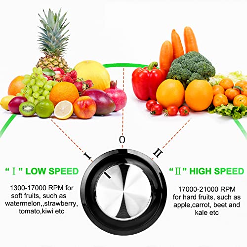 Juicer Machines, HERRCHEF 600W Juice Extractor with 3'' Wide Mouth, 2 Speed Stainless Steel Compact Centrifugal Juicer for Vegetable and Fruit Easy to Clean, with Anti-drip, BPA-Free