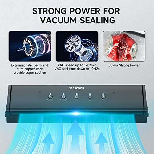 Vacuum Sealer Machine, Automatic Vacuum Sealer for Food Storage and Sous Vide, Dry and Moist Food Modes, Compact Design 15 Inch with 10Pcs Vacuum Sealer Bags Starter Kit, Black