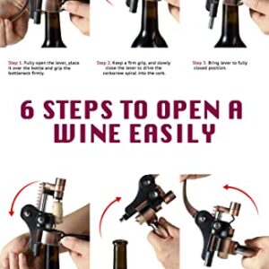 Wine Opener, KITESSENSU Easy Lever Wine Corkscrew with No-Stick Worm, 6-Piece Wine Bottle Opener Set with Foil Cutter, Bottle Stopper, Pourer, Extra Cork Screw and Base, Silver