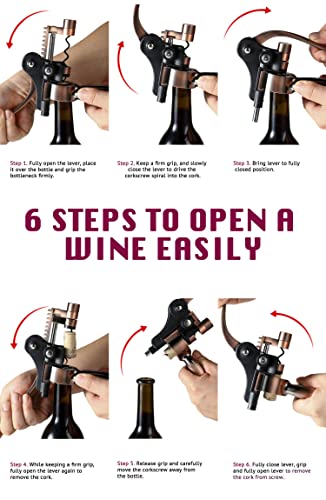 Wine Opener, KITESSENSU Easy Lever Wine Corkscrew with No-Stick Worm, 6-Piece Wine Bottle Opener Set with Foil Cutter, Bottle Stopper, Pourer, Extra Cork Screw and Base, Silver