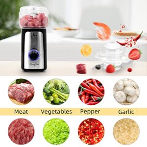 Sangcon 5 in 1 Blender and Food Processor Combo for Kitchen, Small Electric Food Chopper for Meat and Vegetable, 350W High Speed Blenders with 2 Speeds and Pulse for Smoothies and Shakes