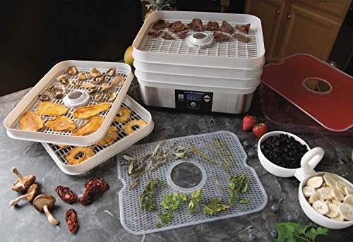 Hamilton Beach Digital Food Dehydrator for Fruit and Jerky, Vegetables and More, 5 Trays, Adjustable Temperature, 48 Hour Timer + Auto Shutoff, Grey (32100A)