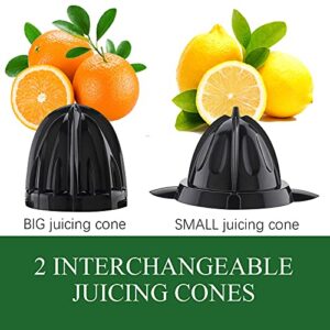 Homeleader Electric Citrus Juicer, Lemon Squeezer with Powerful Motor and LED Working Lamp, Orange Juicer for Grapefruits, Orange and Lemon