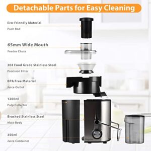 Juicer, Bagotte Centrifugal Juicer, 65mm Wide Feed Chute Juicer Machines for Whole Fruit and Vegetable, High Juice Yield Dual-Speed Juice Extractor with 304 Stainless Steel, BPA-Free, Easy to Clean