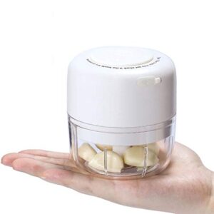 ayotee cordless portable mini food chopper, small electric food processor for garlic veggie, dicing, mincing & puree , 100ml, baby food maker, white