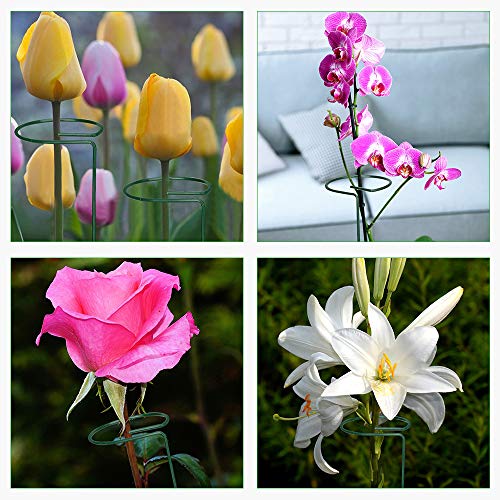 GROWNEER 12 Packs 36 Inches Garden Flower Support Plant Support Stakes, with 15 Pcs Plant Labels, Single Plant Stem Flower Support for Flowers, Orchid, Peony, Lily, Rose