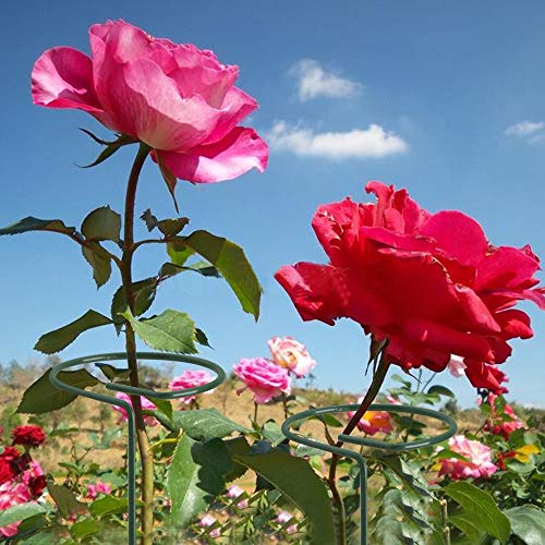 GROWNEER 12 Packs 36 Inches Garden Flower Support Plant Support Stakes, with 15 Pcs Plant Labels, Single Plant Stem Flower Support for Flowers, Orchid, Peony, Lily, Rose