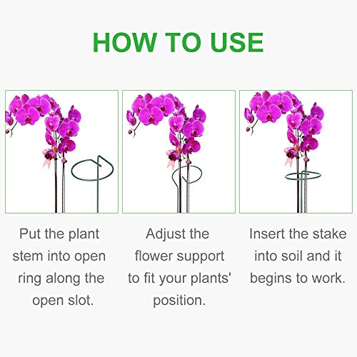 GROWNEER 12 Packs 36 Inches Garden Flower Support Plant Support Stakes, with 15 Pcs Plant Labels, Single Plant Stem Flower Support for Flowers, Orchid, Peony, Lily, Rose