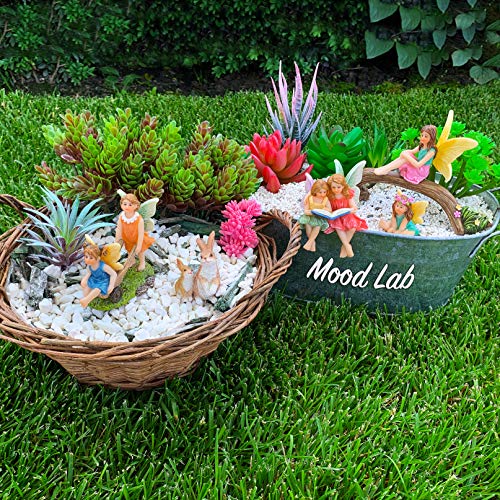 Mood Lab Fairy Garden - Miniature Family Kit Figurines & Accessories - Fairies Statue Set of 6 pcs - Outdoor or House Decor