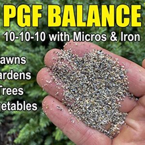 The Andersons PGF Balanced 10-10-10 Fertilizer with Micronutrients and 2% Iron (5,000 sq ft)