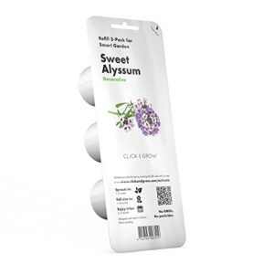 click and grow smart garden sweet alyssum plant pods, 3-pack