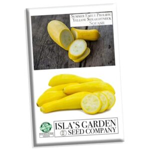 early prolific yellow straightneck summer squash seeds for planting, 50+ heirloom vegetable seeds per packet, (isla’s garden seeds), non gmo seeds, scientific name: cucurbita pepo