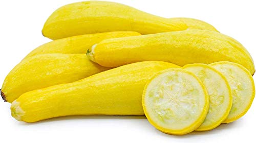 Early Prolific Yellow Straightneck Summer Squash Seeds for Planting, 50+ Heirloom Vegetable Seeds Per Packet, (Isla's Garden Seeds), Non GMO Seeds, Scientific Name: Cucurbita Pepo