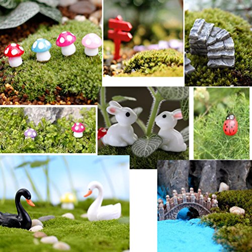 50 PCS Fairy Miniature Ornament DIY Kit and 4 PCS Artificial Succulent Plants for Garden Dollhouse Decoration