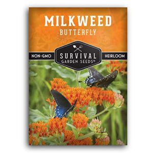 butterfly milkweed seeds for planting – pack with instructions to grow asclepias tuberosa – attract butterflies & help conservation – non-gmo heirloom open-pollinated – survival garden seeds