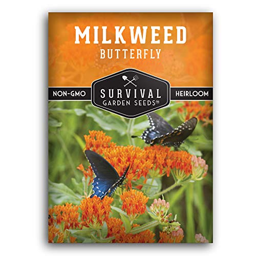 Butterfly Milkweed Seeds for Planting - Pack with Instructions to Grow Asclepias Tuberosa - Attract Butterflies & Help Conservation - Non-GMO Heirloom Open-Pollinated - Survival Garden Seeds