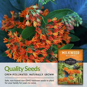 Butterfly Milkweed Seeds for Planting - Pack with Instructions to Grow Asclepias Tuberosa - Attract Butterflies & Help Conservation - Non-GMO Heirloom Open-Pollinated - Survival Garden Seeds