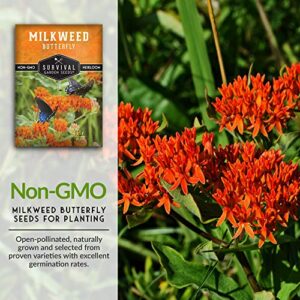 Butterfly Milkweed Seeds for Planting - Pack with Instructions to Grow Asclepias Tuberosa - Attract Butterflies & Help Conservation - Non-GMO Heirloom Open-Pollinated - Survival Garden Seeds