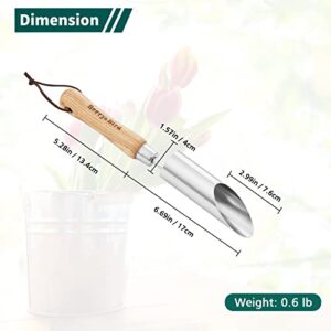 Berry&Bird Bulb Planter Tool, 12" Stainless Steel Garden Bulb Transplanter, Manual Hole Digger with Wooden Handle, Transplanting Agricultural Dibble Tool for Seed Planting & Flower Planter