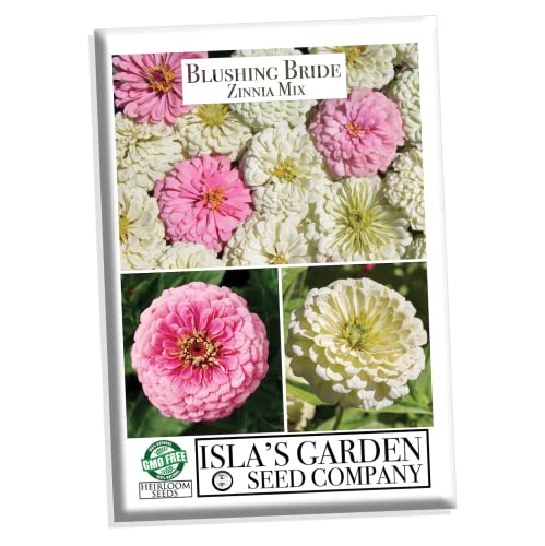 "Blushing Bride Mix" Zinnia Seeds for Planting, 200+ Flower Seeds Per Packet, (Isla's Garden Seeds), Non GMO & Heirloom Seeds, Botanical Name: Zinnia elegans, Great Home Garden Gift