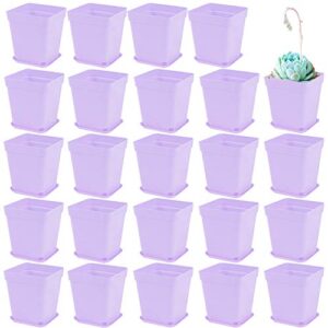 24 pack plastic square nursery pots 3 inch plastic plant pots,flower pot with tray saucer for indoor outdoor garden office decor