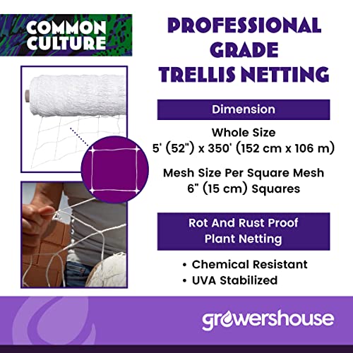 COMMON CULTURE Grow Strong Plant Trellis + Trojan Scissors - 6" Square Soft Mesh Nylon Trellis Netting Bulk Roll - Heavy-Duty Garden Netting for Plants - 5' x 350' - 1 Roll