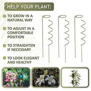 Stem Plant Support Stakes – 16 inches 3X Single Stem Flower Stakes and 3X Spiral Support for Climbing Plants Garden Stakes and Support for Potted Plants Rose Orchid Lily Dahlia Clematis Ipomoea