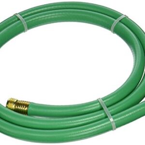 Swan Products LOLH5806FM Hose Reel Leader Hose with Male and Female Connections 6' x 5/8", Green