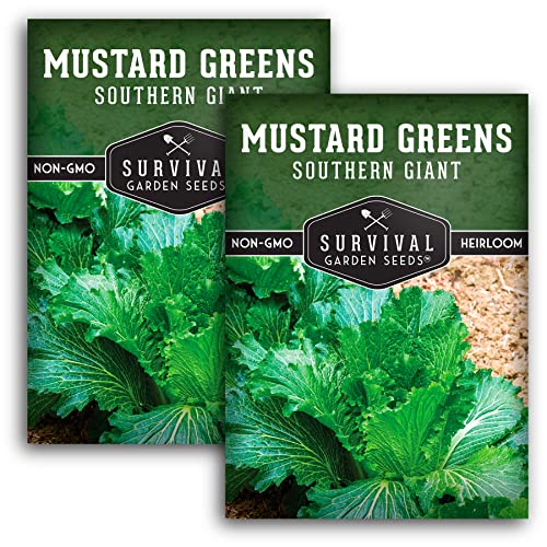 Survival Garden Seeds - Southern Giant Mustard Greens Seed for Planting - 2 Packets with Instructions to Grow Spicy Brassica Juncea Leaves in Your Home Vegetable Garden - Non-GMO Heirloom Variety