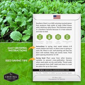 Survival Garden Seeds - Southern Giant Mustard Greens Seed for Planting - 2 Packets with Instructions to Grow Spicy Brassica Juncea Leaves in Your Home Vegetable Garden - Non-GMO Heirloom Variety