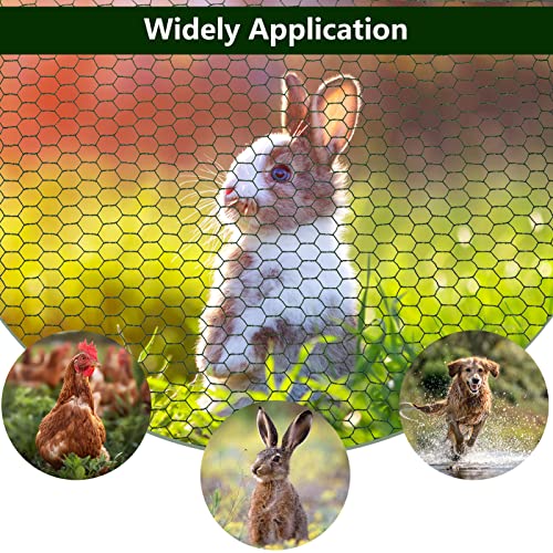 Aboofx Green Chicken Wire for Floral Arrangements, 40 x 13.7 inch Chicken Wire Mesh, Hexagonal PVC Coated Galvanized Iron Wire for Garden, Chicken Wire Fencing with 20 Zip Ties and 1 Pair of Glove