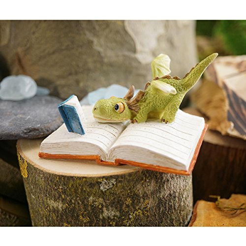 Top Collection Miniature Fairy Garden and Terrarium Mini Dragon Reading Figurine