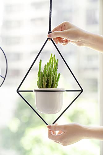 Mkono Mini Hanging Planters Indoor Herb Garden for Window, 3.5" Ceramic Plant Pot in 3 Different Metal Plant Hangers with Drainage Holes for Indoor Plants, Black/White