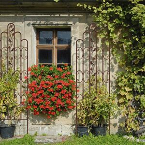 Amagabeli 2 Pack Large Garden Trellis 71” x 21” Heavy Duty Rustproof Brown Iron Plant Trellis for Potted Plant Support Tall Wall Metal Trellis for Rose Vine Vegetable Cucumber