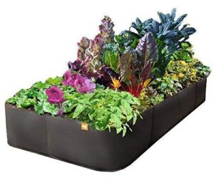 3 ft x 6 ft victory 8 ez-gro med rectangle raised garden bed just right size aeroflow proprietary fabric grow your own