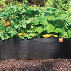 3 ft X 6 ft Victory 8 EZ-GRO Med Rectangle Raised Garden Bed Just Right Size AeroFlow Proprietary Fabric Grow Your OWN