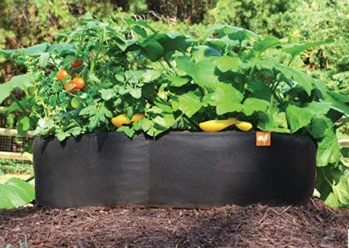 3 ft X 6 ft Victory 8 EZ-GRO Med Rectangle Raised Garden Bed Just Right Size AeroFlow Proprietary Fabric Grow Your OWN