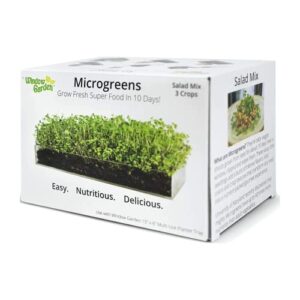 window garden microgreens growing kit – includes microgreen seeds, organic pea shoot (3 pack refill) – indoor microgreen grow starter kit – pre-measured soil, sprout crops of superfood greens
