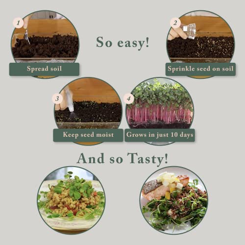 Window Garden Microgreens Growing Kit - Includes Microgreen Seeds, Organic Pea Shoot (3 Pack Refill) - Indoor Microgreen Grow Starter Kit - Pre-Measured Soil, Sprout Crops of Superfood Greens