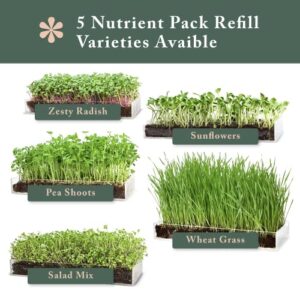 Window Garden Microgreens Growing Kit - Includes Microgreen Seeds, Organic Pea Shoot (3 Pack Refill) - Indoor Microgreen Grow Starter Kit - Pre-Measured Soil, Sprout Crops of Superfood Greens